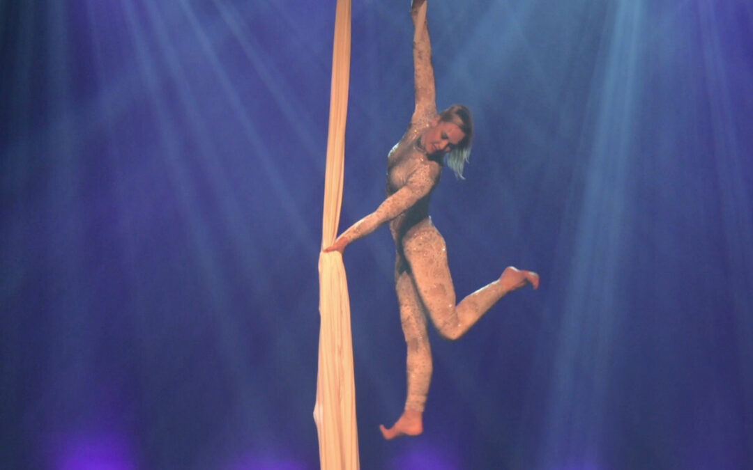 Plateau d’Artistes à l’Hotel de Ville du Havre