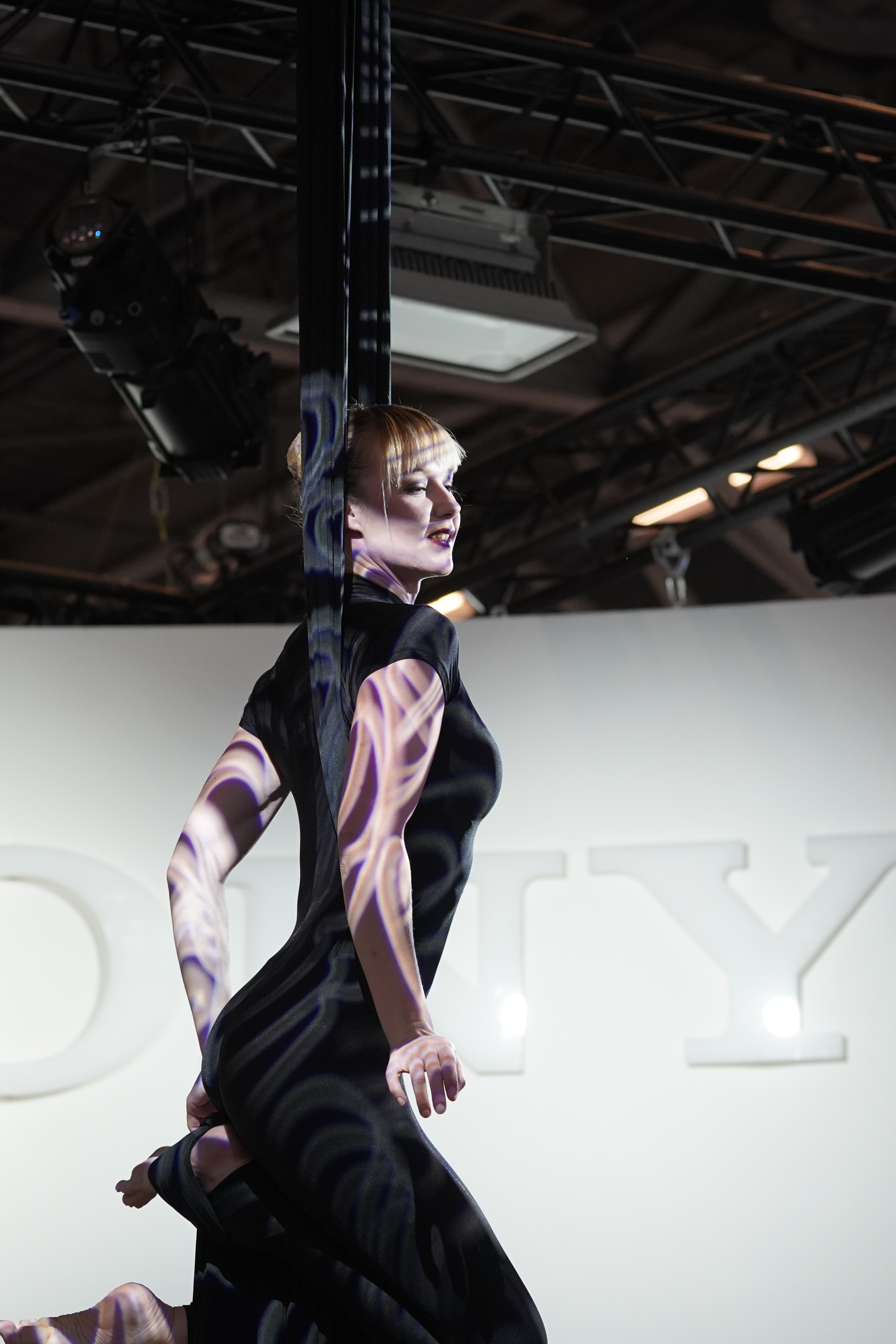 Salon de la Photo, Tissu aérien, Sony France