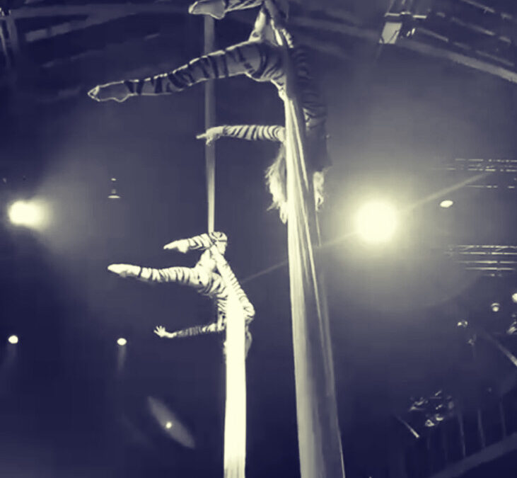 Duo Synchronisé au Tissu Aérien