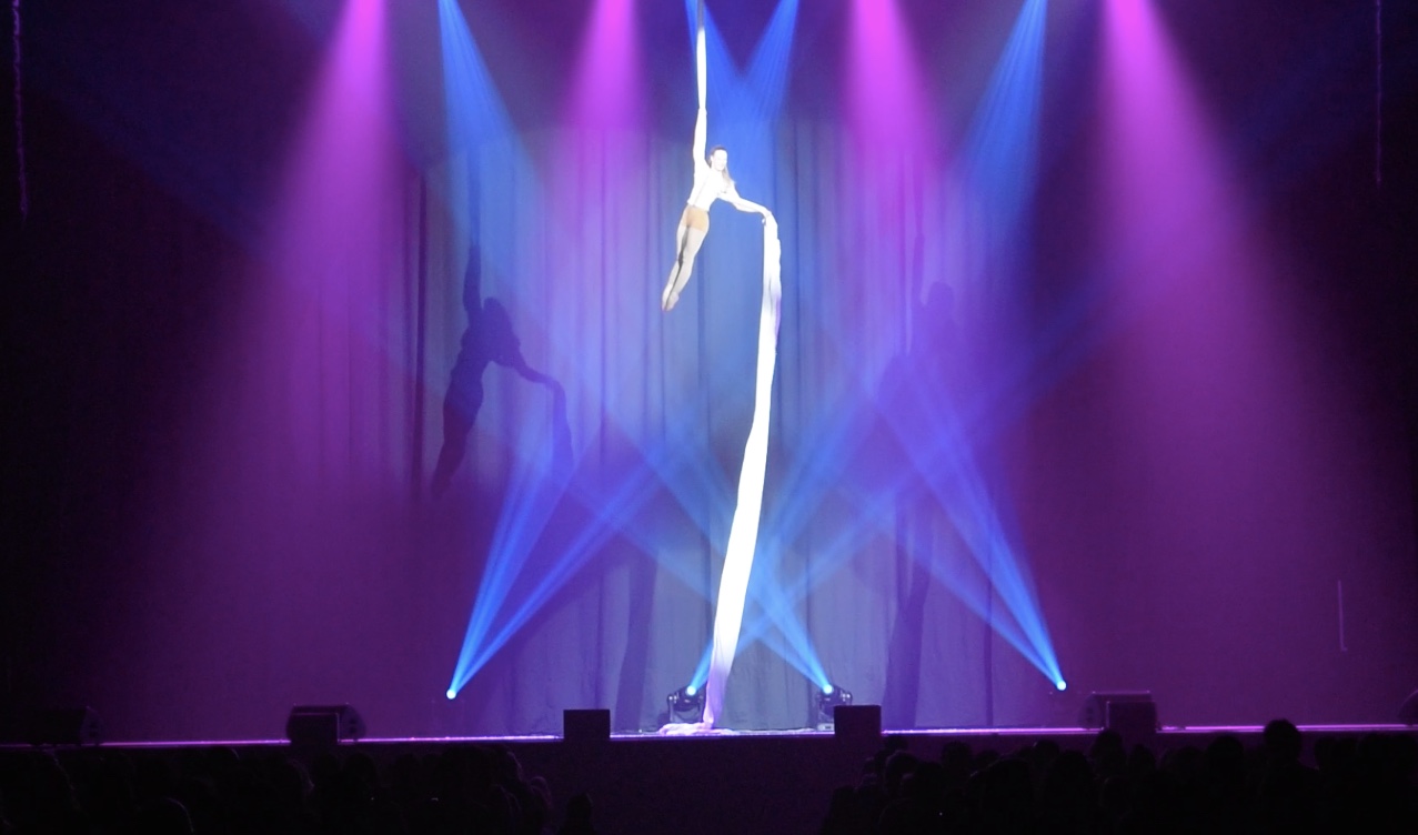 Tissu Aérien, Plateau d’artistes