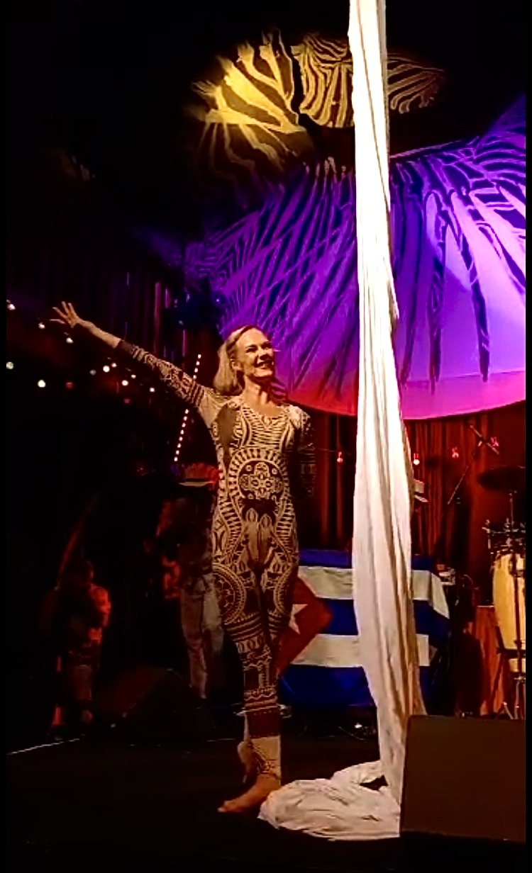 Tissu aérien en concert avec Docteur H