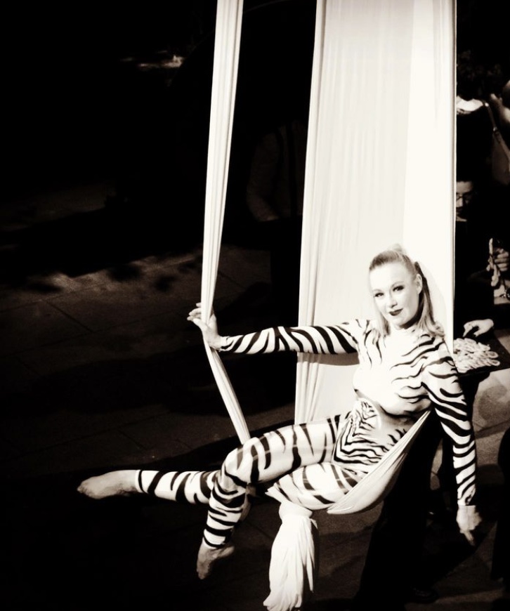 Tissu Aérien - Photo 9